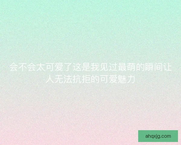 会不会太可爱了这是我见过最萌的瞬间让人无法抗拒的可爱魅力