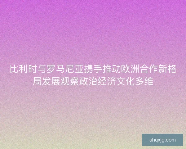 比利时与罗马尼亚携手推动欧洲合作新格局发展观察政治经济文化多维