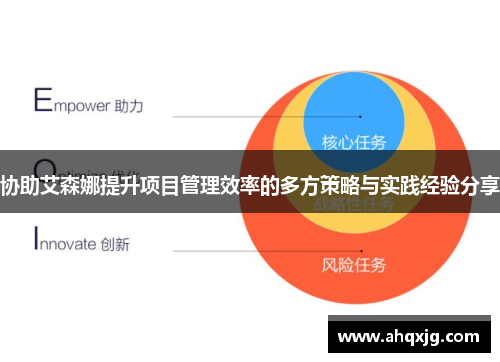 协助艾森娜提升项目管理效率的多方策略与实践经验分享
